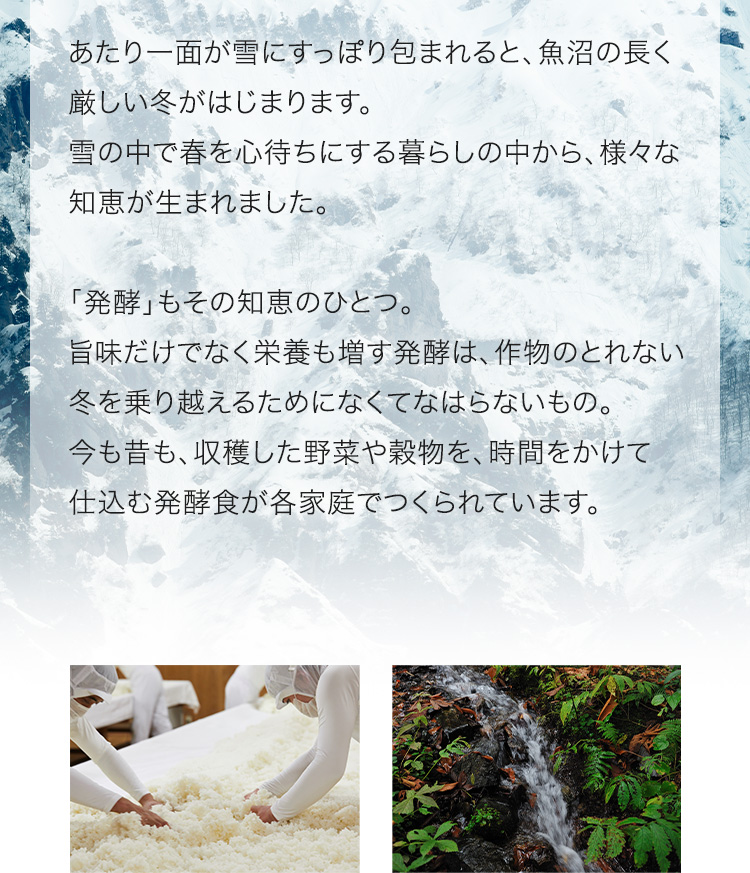 あたり一面が雪にすっぽり包まれると、魚沼の長く厳しい冬がはじまります。雪の中で春を心待ちにする暮らしの中から、様々な知恵が生まれました。「発酵」もその知恵のひとつ。旨味だけでなく栄養も増す発酵は、作物のとれない冬を乗り越えるためになくてなはらないもの。今も昔も、収穫した野菜や穀物を、時間をかけて仕込む発酵食が各家庭でつくられています。